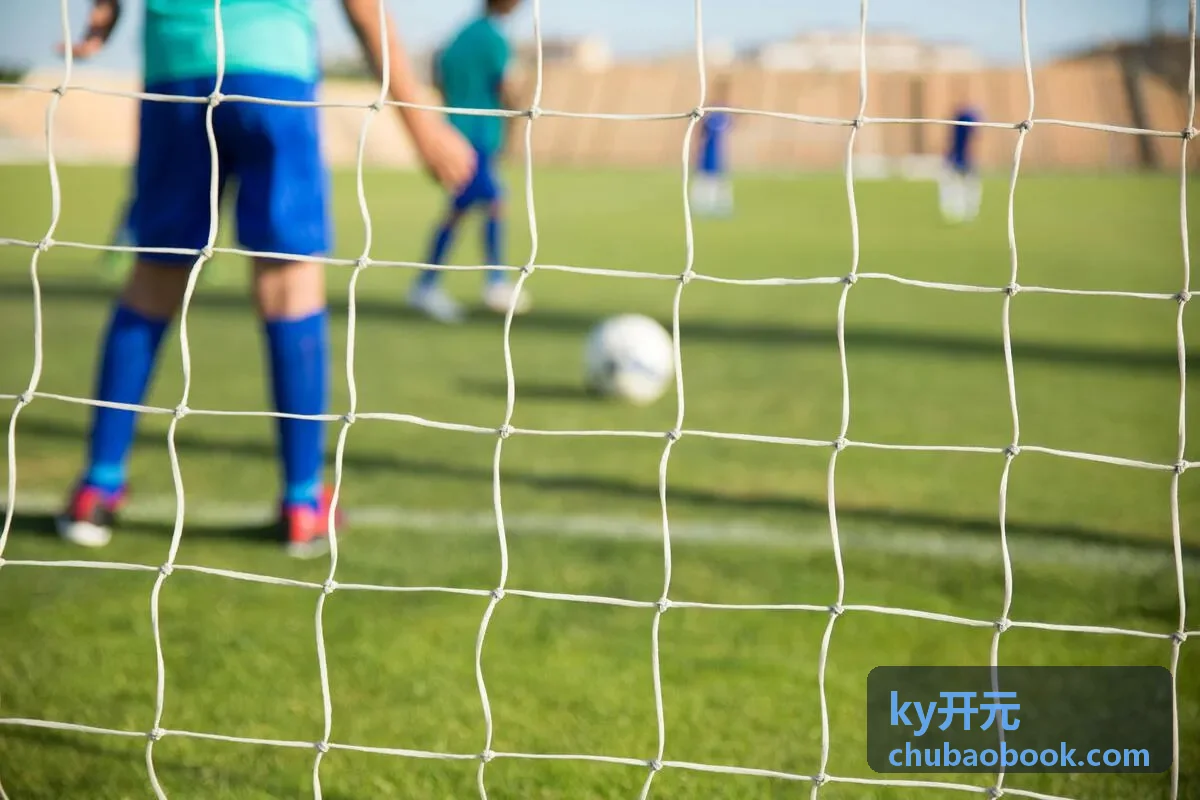 ky开元战略咨询